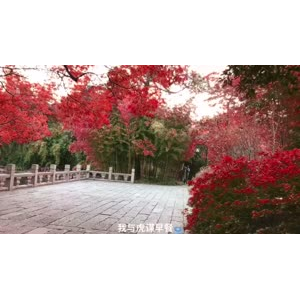 伤感励志4041