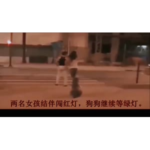 伤感励志4087