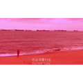 伤感励志4114