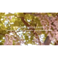 伤感励志4134