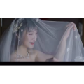 伤感励志4286
