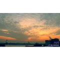 伤感励志4308
