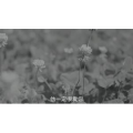 伤感励志4410