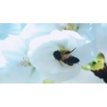 伤感励志4422