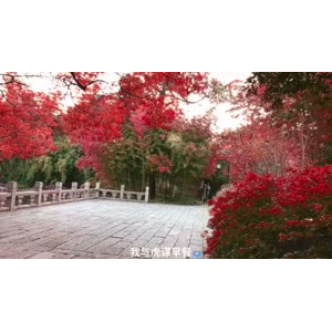 伤感励志4426