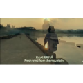 伤感励志4460