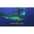 伤感励志4486