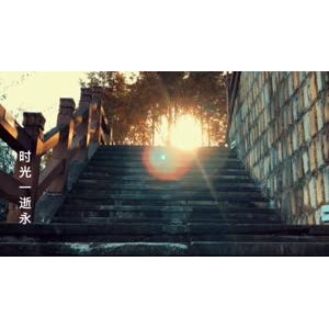 伤感励志4490