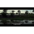 伤感励志4514