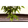 伤感励志4564