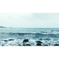 伤感励志4594