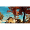 伤感励志4660