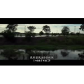 伤感励志4686