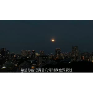 伤感励志4688