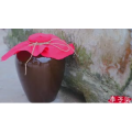 伤感励志4762