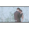 伤感励志4804