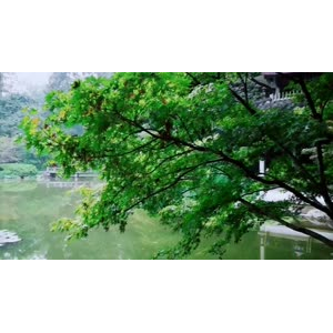 伤感励志4878