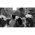 伤感励志4932