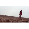 伤感励志5080