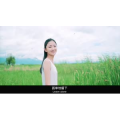 伤感励志5174
