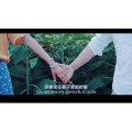 伤感励志5210