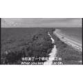伤感励志5234