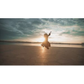 伤感励志5308