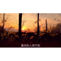 伤感励志5392