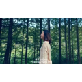 伤感励志5488