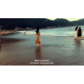 伤感励志5586