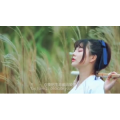 伤感励志5646