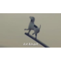 伤感励志5668