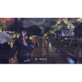 伤感励志5840