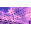 伤感励志5924
