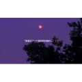 伤感励志5934