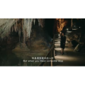 伤感励志5974
