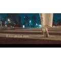 伤感励志5984