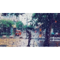 伤感励志6004