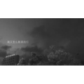 伤感励志6036