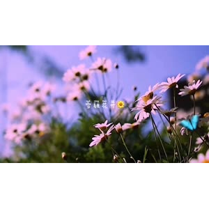 伤感励志6094