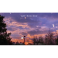 伤感励志6124