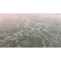 伤感励志6152