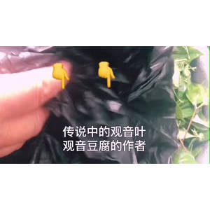 伤感励志6172