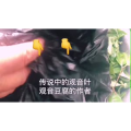 伤感励志6172