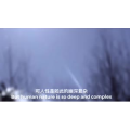 伤感励志6176