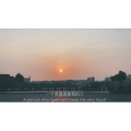 伤感励志6210