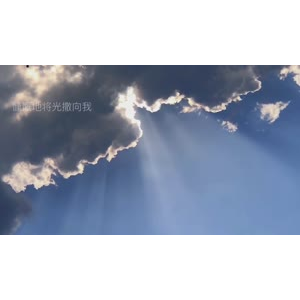 伤感励志6230