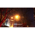 伤感励志6268