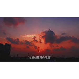 伤感励志6274