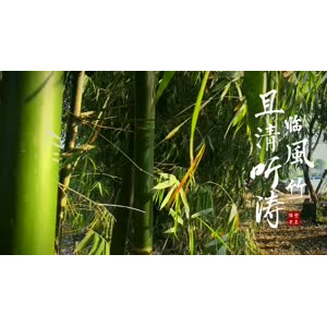 伤感励志6308
